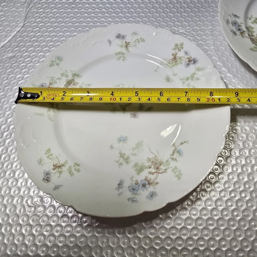 Pair Of Antique Jean Pouyat Limoges(J.P.L.)FinePorcelain Floral Scalloped 8.5